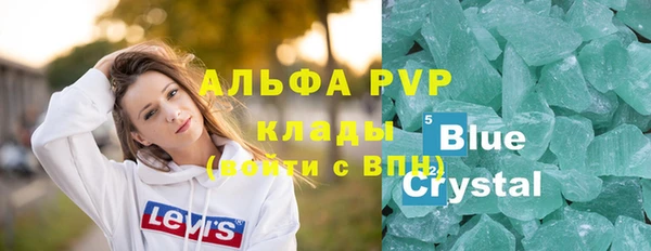 стафф Коряжма