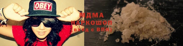 шишки Корсаков
