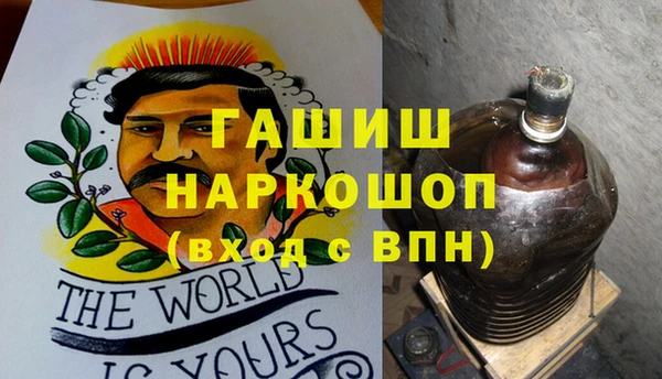 шишки Корсаков