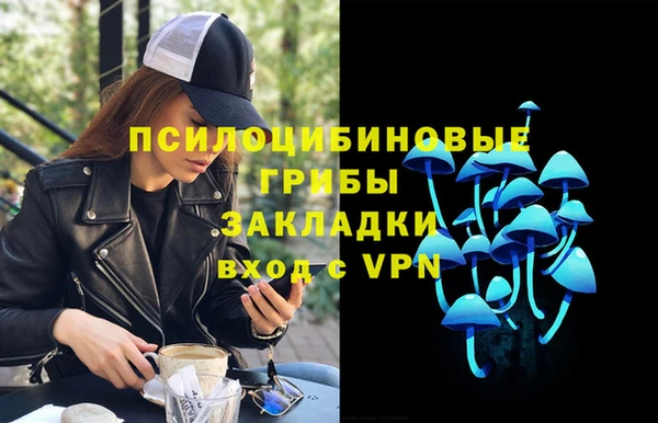 шишки Корсаков