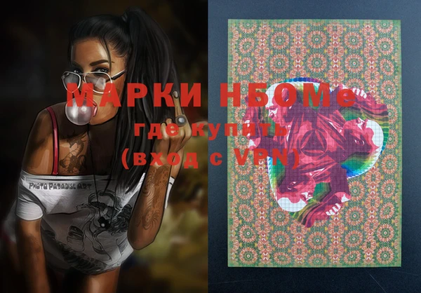 шишки Корсаков