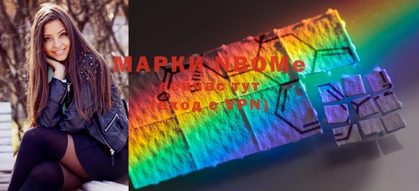 стафф Коряжма