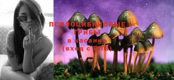 СК Костерёво