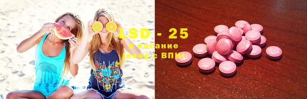 шишки Корсаков