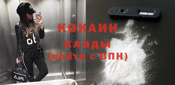шишки Корсаков