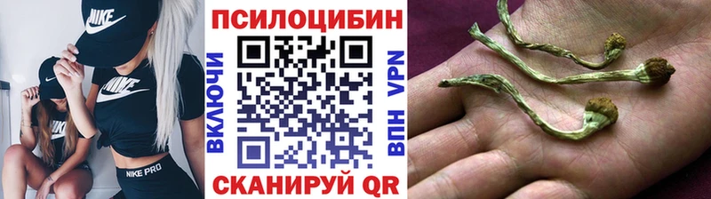 блэк спрут зеркало Сухиничи Галлюциногенные грибы Magic Shrooms