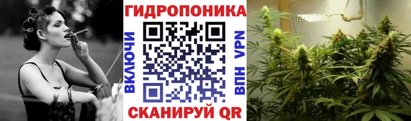 где купить наркотик Сухиничи Бошки марихуана ГИДРОПОН